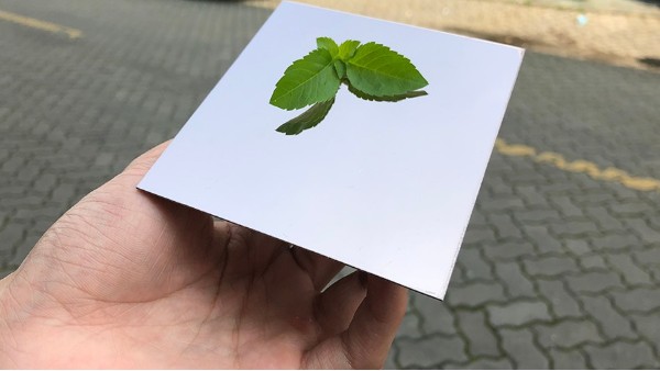 為什么彩色不銹鋼裝飾板會(huì )大受歡迎？