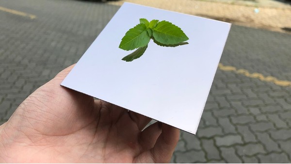 不銹鋼裝飾板加工需要注意什么？